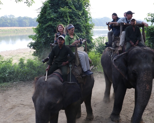  Jungle Safari Chitwan National Park