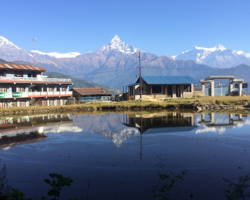 Dazzling Scence Of Mardi