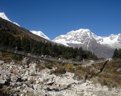 Dazzling View Of Nature