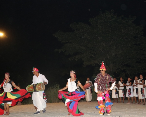 Evening Tharu Cultural Dance