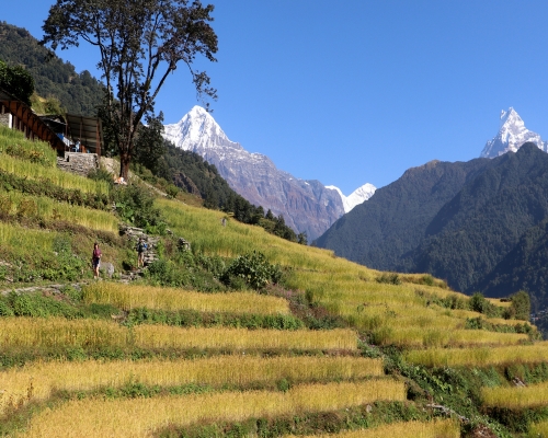 Panoramic View Of Nature