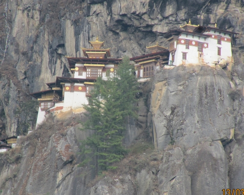 Tiger Nest